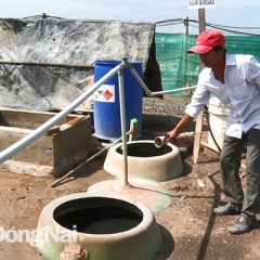 Làm sạch môi trường nuôi tôm bằng quy trình biogas